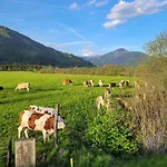 Mountain View Near Kaprun - Steinbock Διαμέρισμα Piesendorf