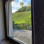 Mountain View Near Kaprun - Steinbock Apartment Piesendorf