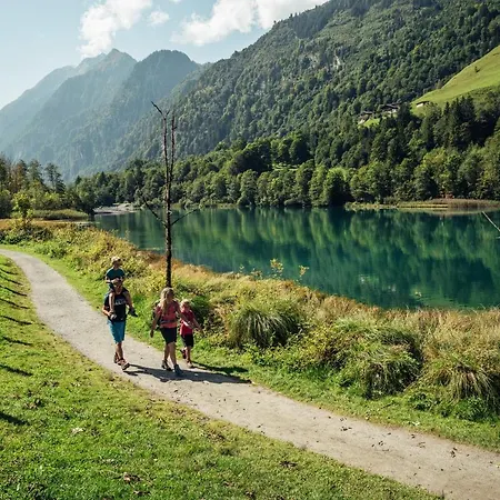 Mountain View Near Kaprun - Steinbock