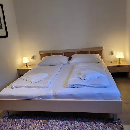 Mountain View Near Kaprun - Steinbock