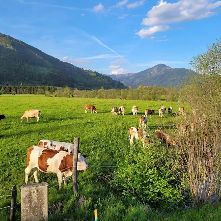 Mountain View Near Kaprun - Steinbock Apartment Piesendorf