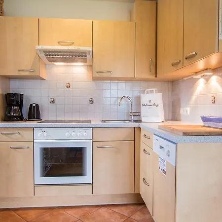 Mountain View Near Kaprun - Steinbock *