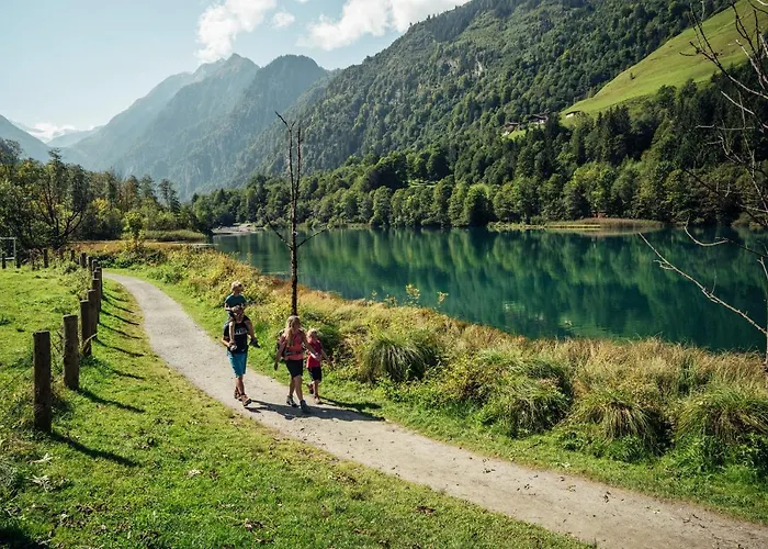 Mountain View Near Kaprun - Steinbock