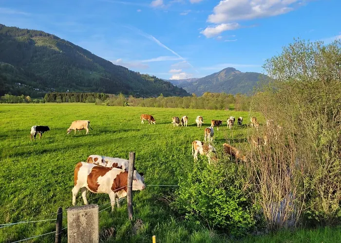 Mountain View Near Kaprun - Steinbock Apartament Piesendorf